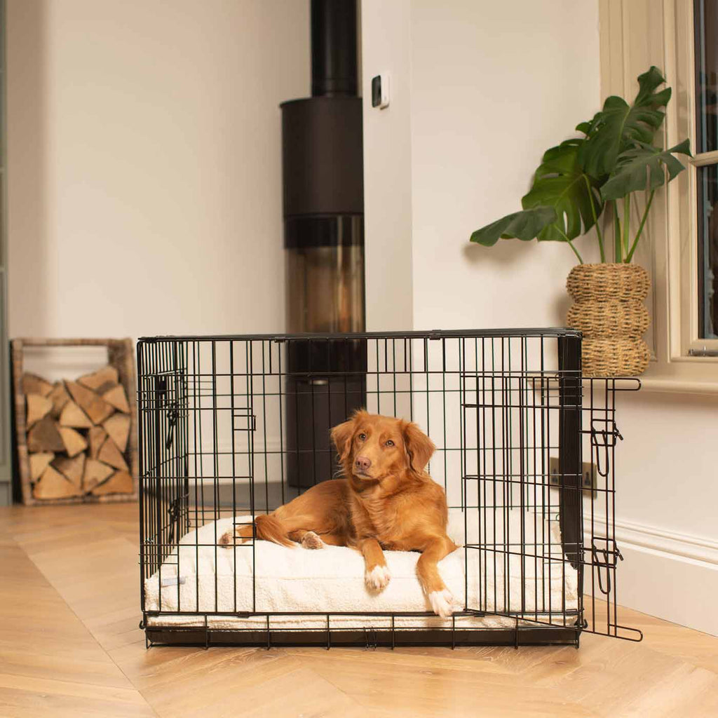 Coussin pour chien en bouclé ivoire