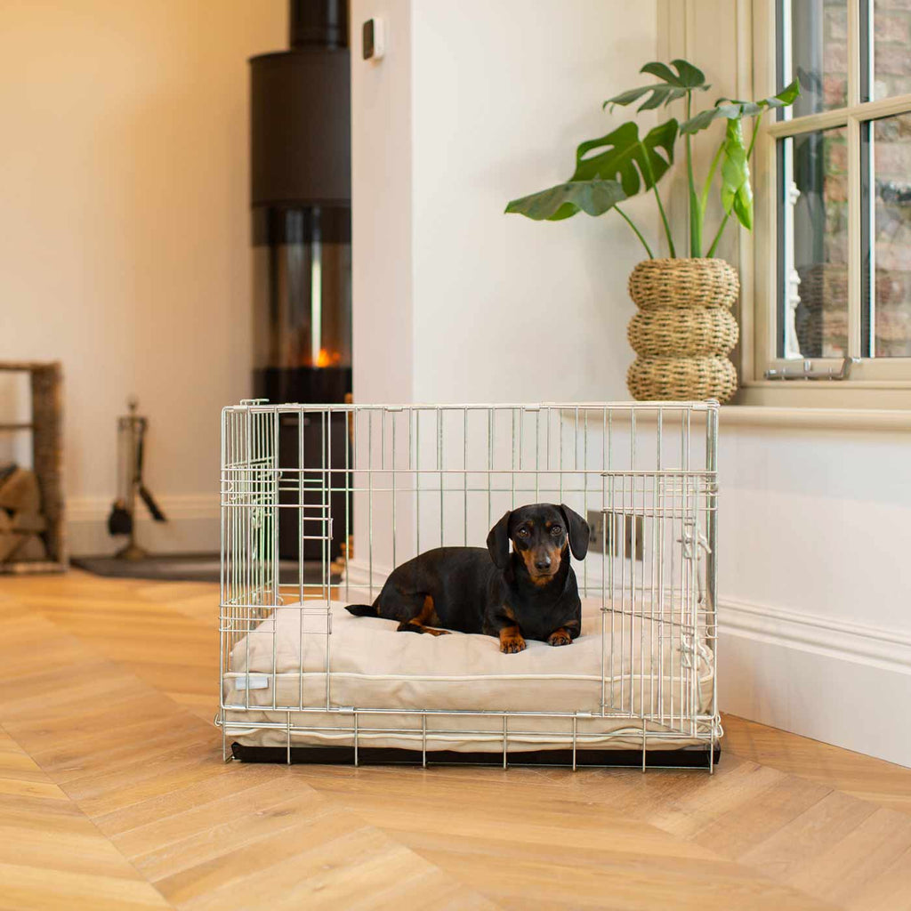 Coussin pour chien en Savanna Oatmeal