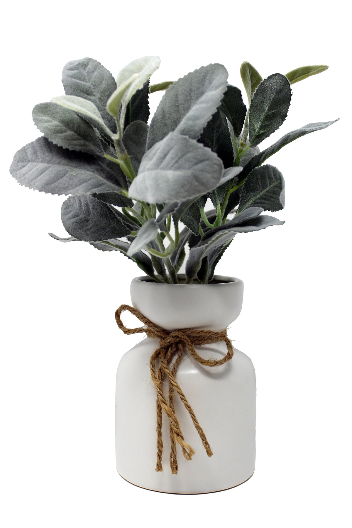 Oreille d'agneau artificielle Mainstays dans un pot en céramique blanc (29,2 cm H x 17,8 cm L x 17,8 cm P)