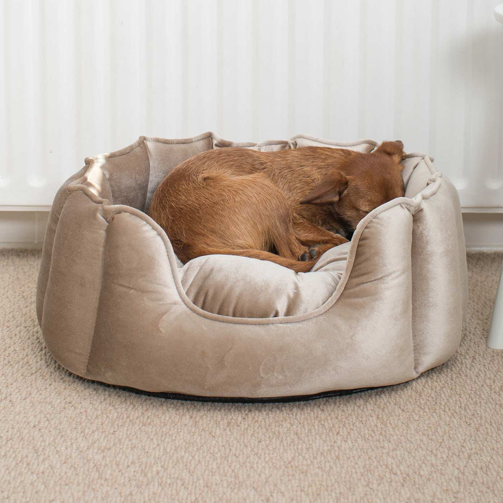 Lit pour chien à bords hauts en velours