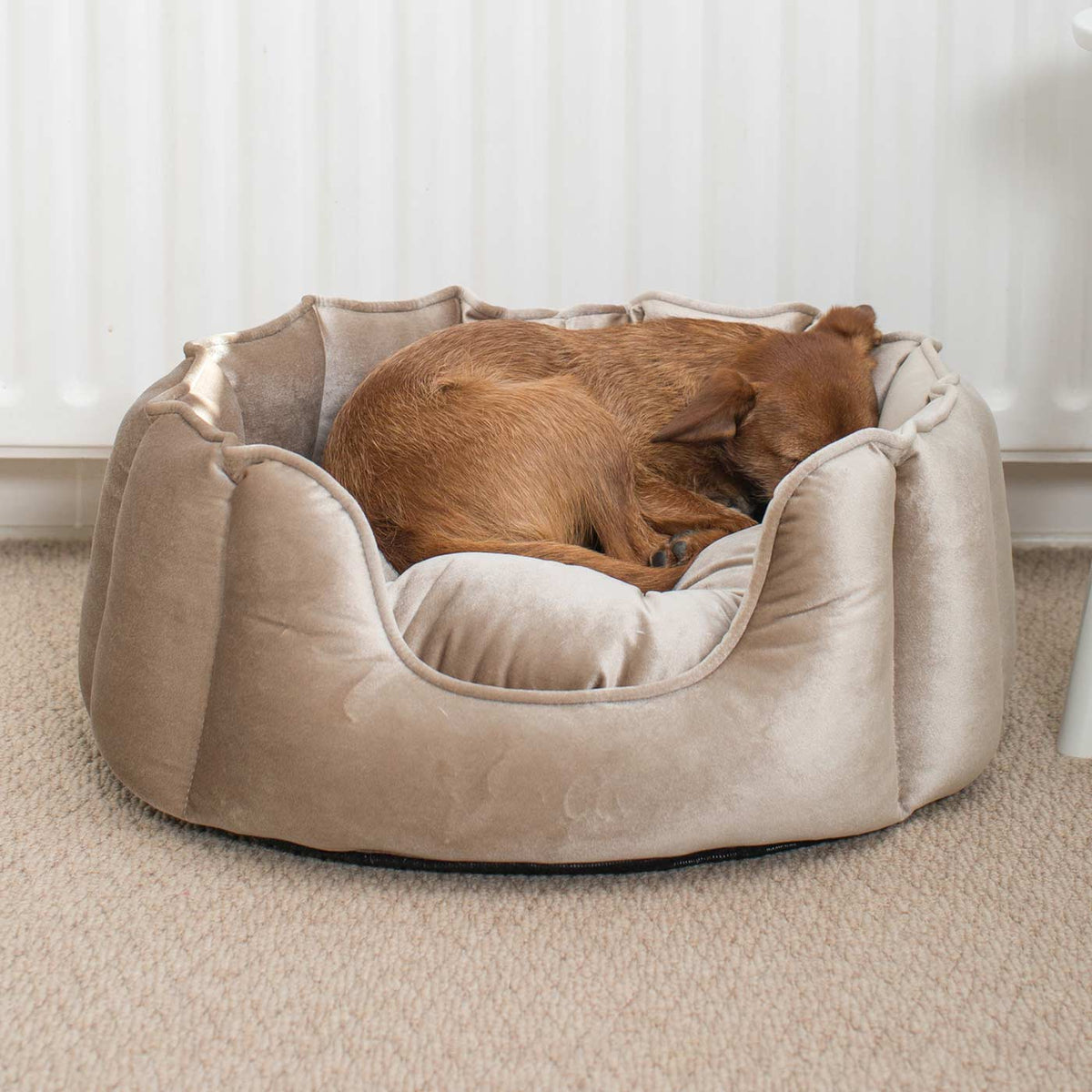 Lit pour chien à bords hauts en velours