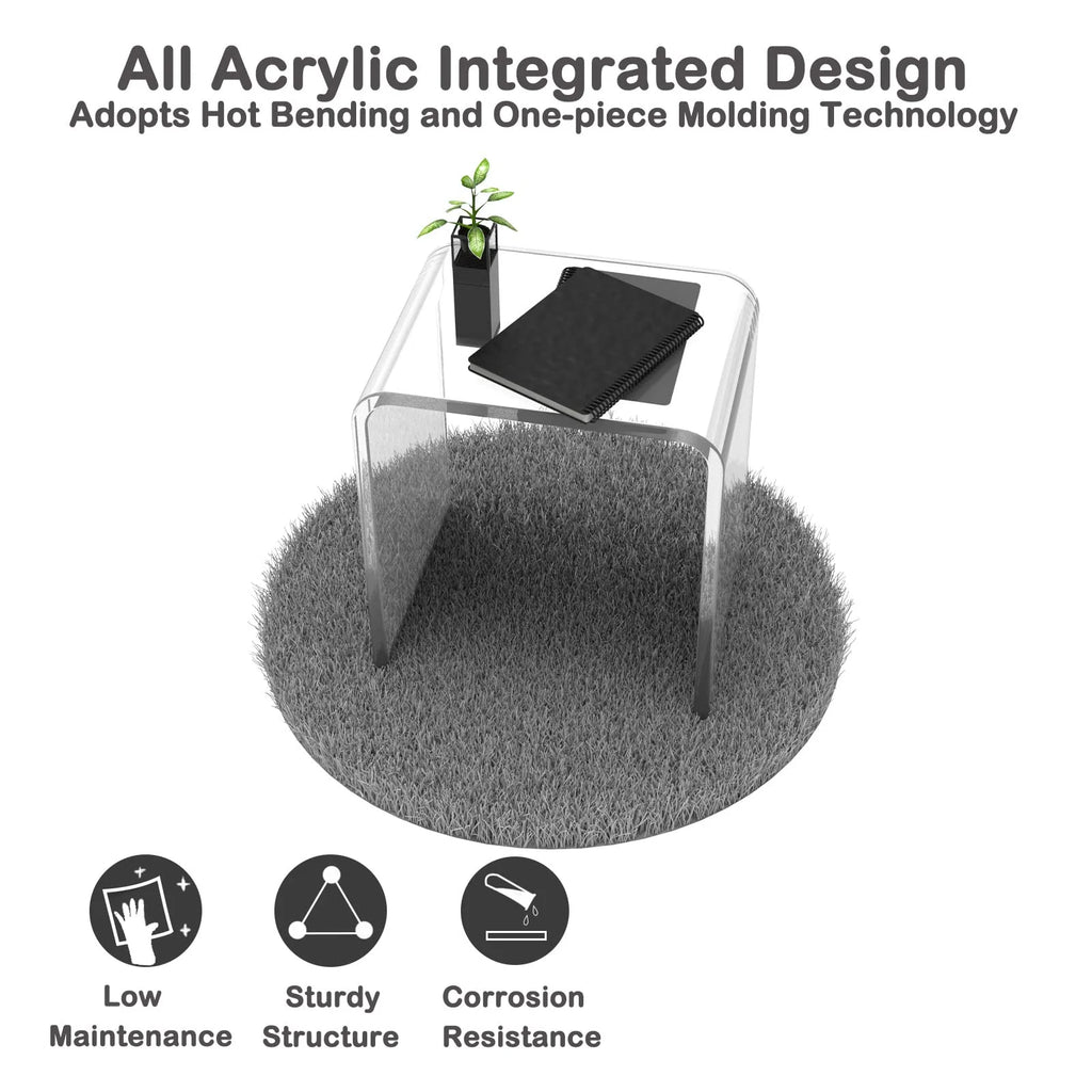 Ageszoe Coffee Table with Storage Shelf,Acrylic Modern Clear End Table,Kid's Table for Livingroom, 32"L x 16"W x 16"H"