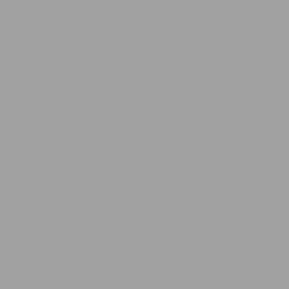 Nourison Perris Solid Charcoal 3'9" x 5'9" Area Rug, (4x6)