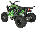Vitaccii Pentora Racing ATV