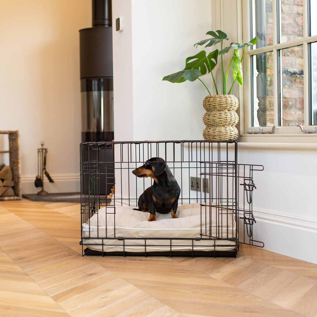 Coussin pour chien en Savanna Oatmeal