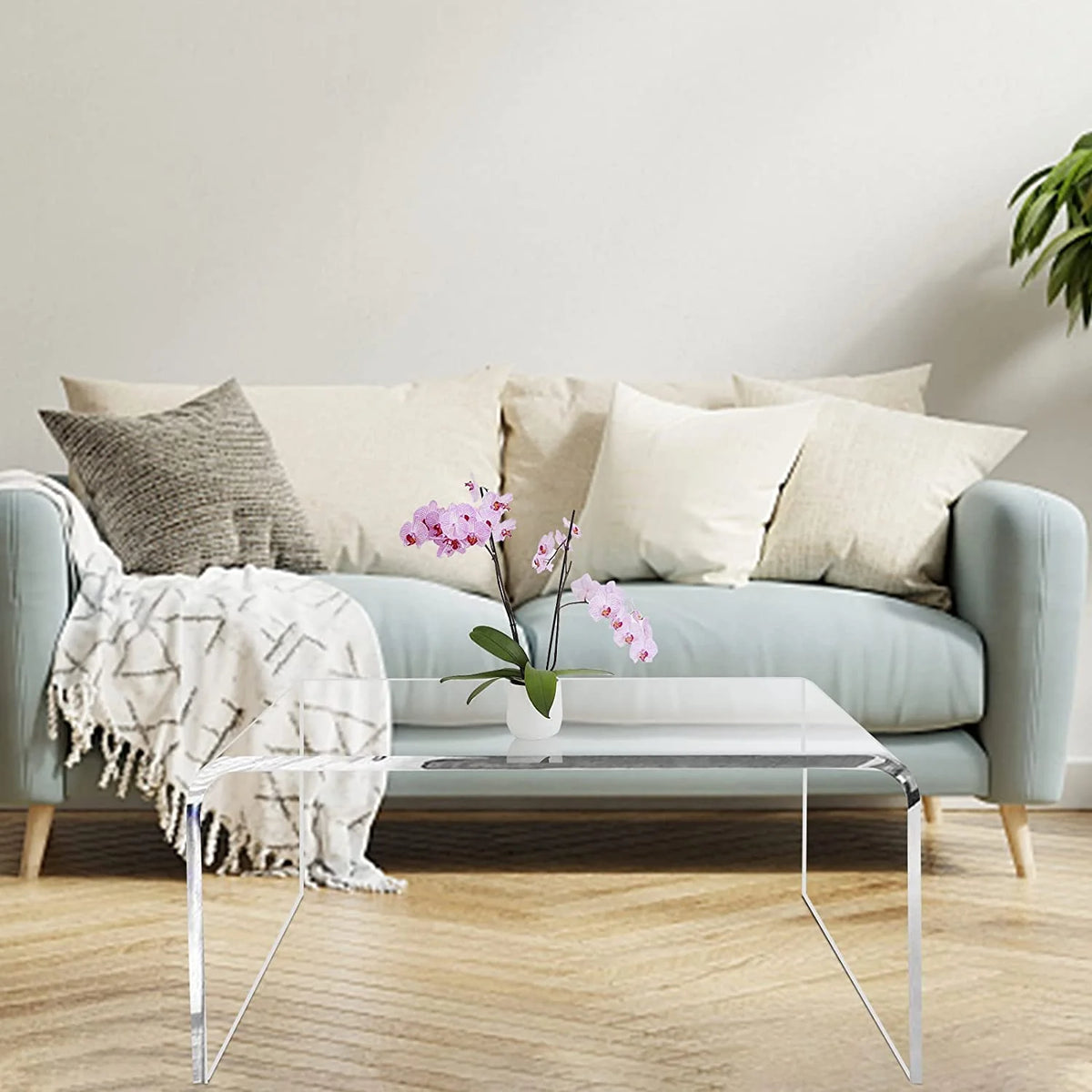 Ageszoe Coffee Table with Storage Shelf,Acrylic Modern Clear End Table,Kid's Table for Livingroom, 32"L x 16"W x 16"H"