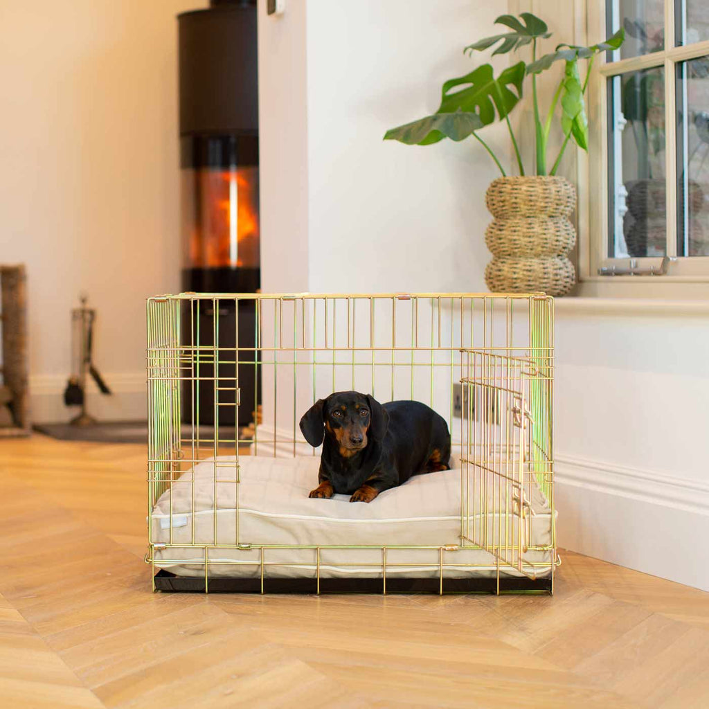 Coussin pour chien en Savanna Oatmeal