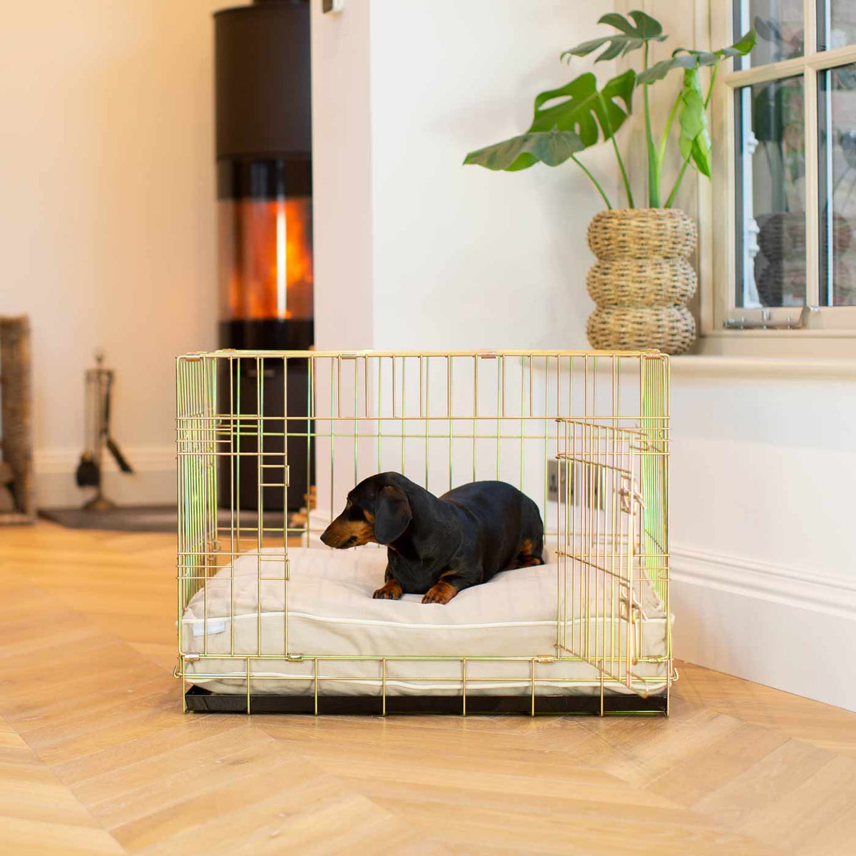 Coussin pour chien en Savanna Oatmeal