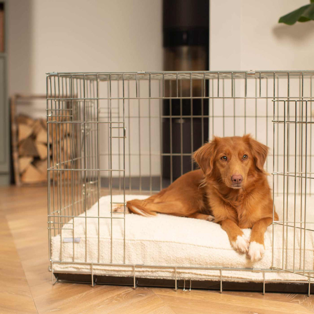 Coussin pour chien en bouclé ivoire