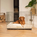 Coussin pour chien en bouclé ivoire