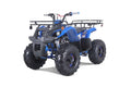 TaoTao T-Force T125 4-Wheeler All-Terraiin Vehicle ATV