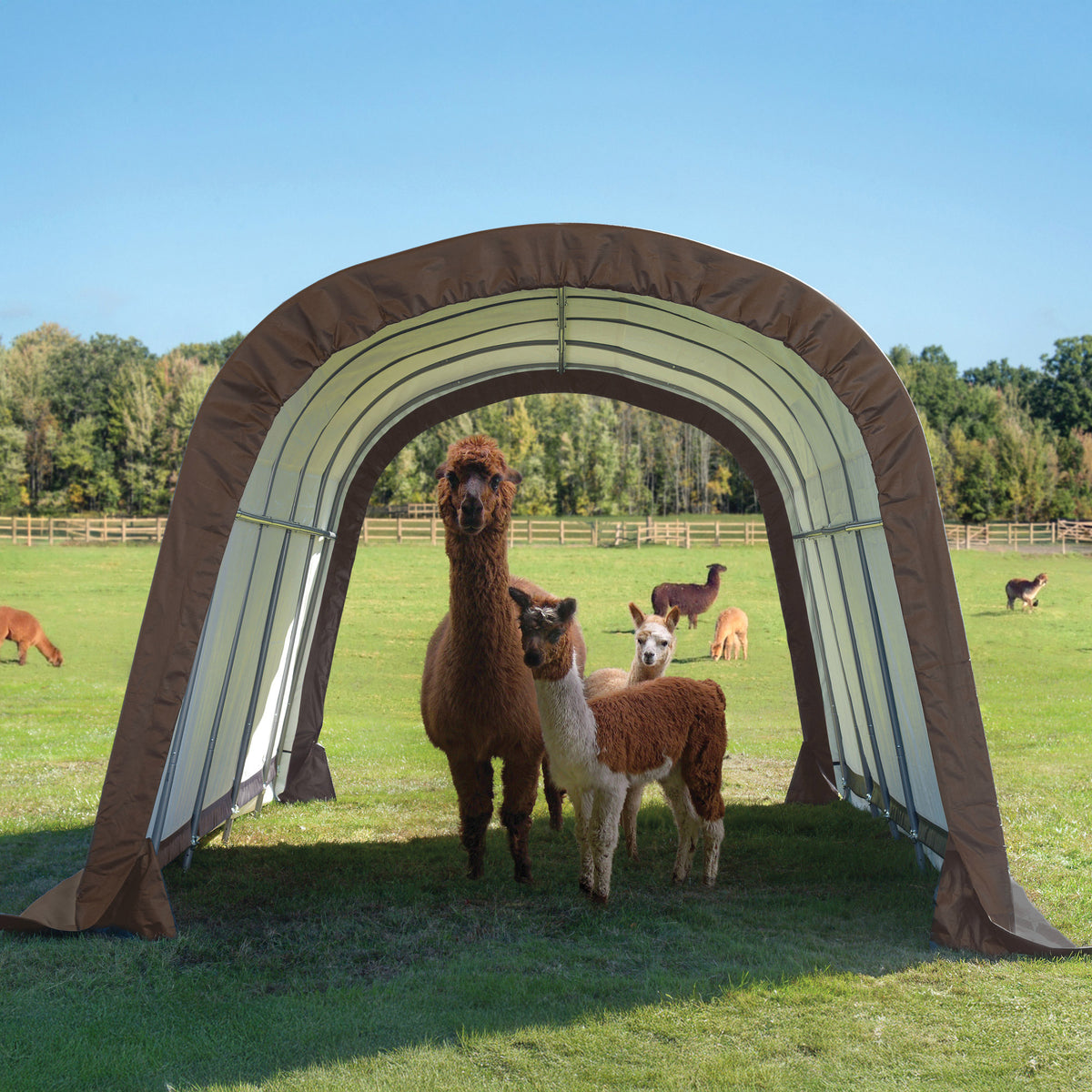 ShelterLogic Run-in Equine Shelter, 12' x 20 'x 8'