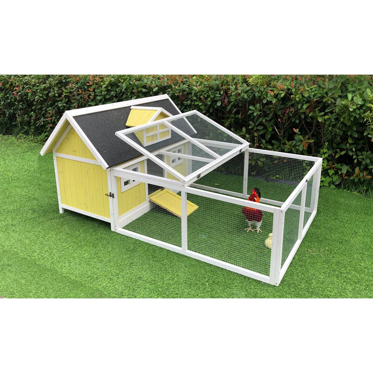 Hanover Outdoor Wooden Chicken Coop with Ramp, Large Wire Mesh Run, Waterproof Roof, Removable Tray 2.8 Ft. x 5.9 Ft. x 3.8 Ft.