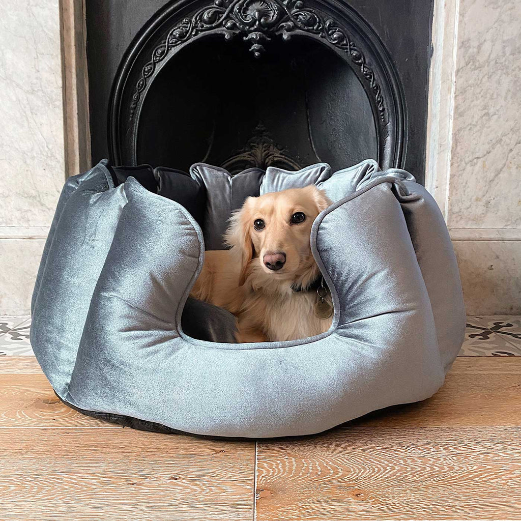 Lit pour chien à bords hauts en velours