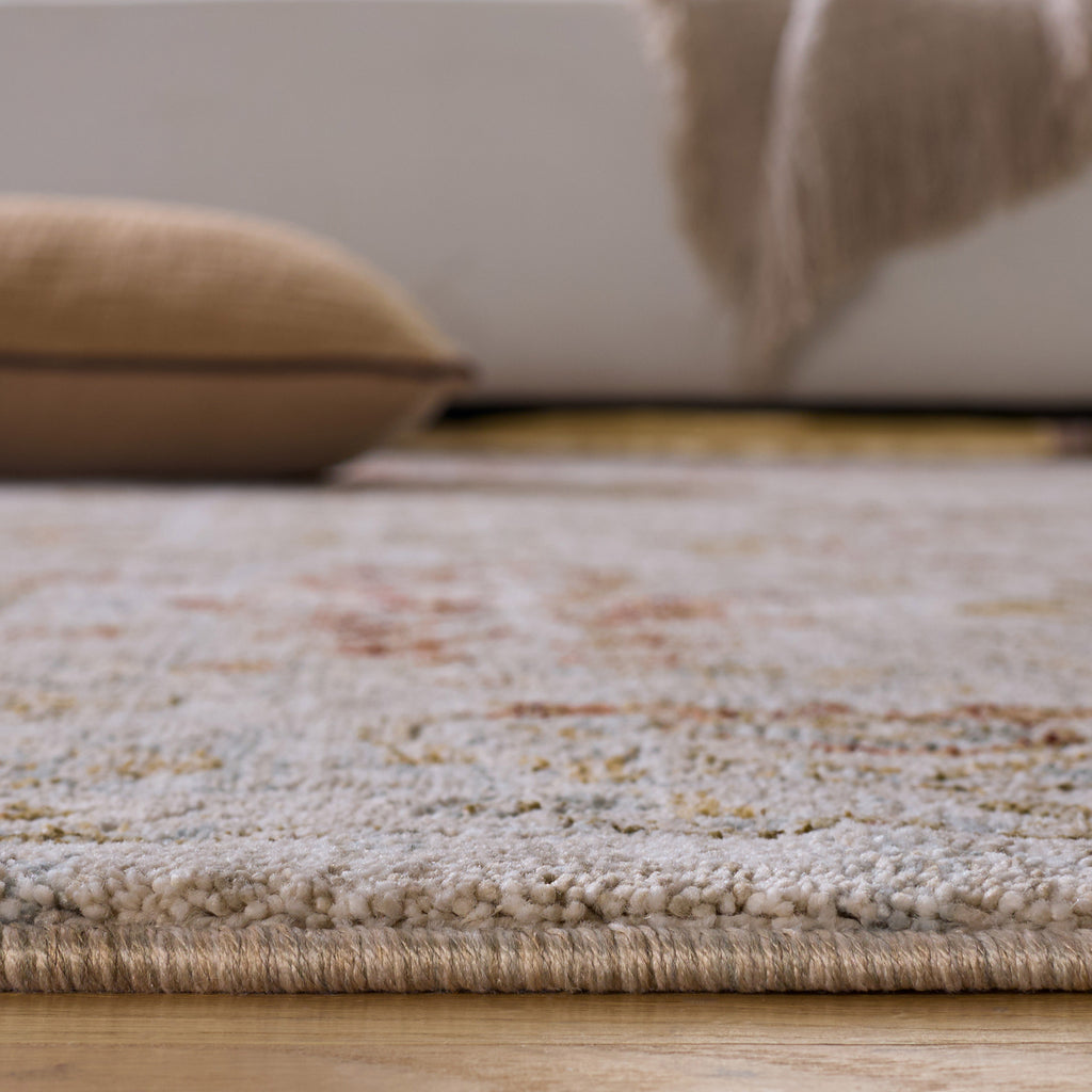 Safavieh Hamilton Area Rug, Gray Gold, 6' x 9'