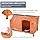 TRIXIE Pet Products Dog Club House, Large,Glazed Pine,40.75×26.75×28.25 Inch (Pack of 1),39552