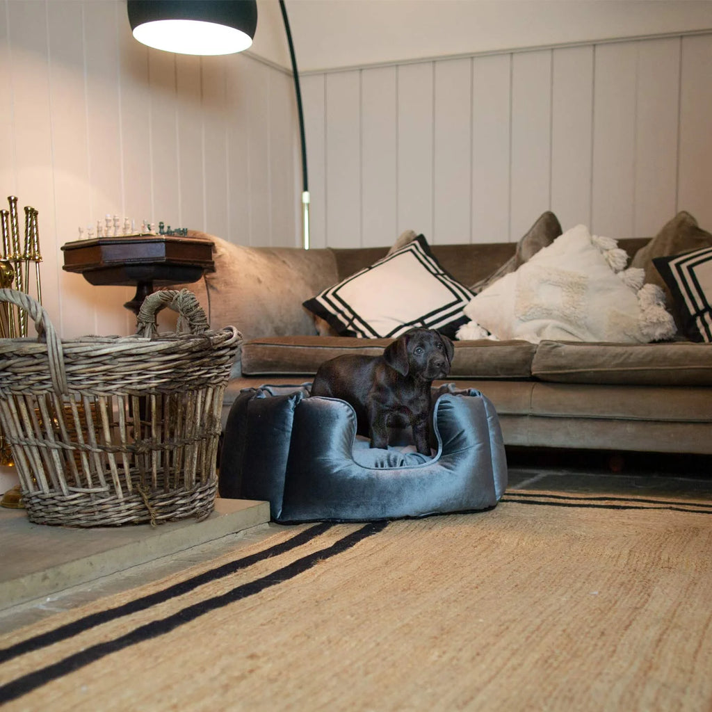 Lit pour chien à bords hauts en velours