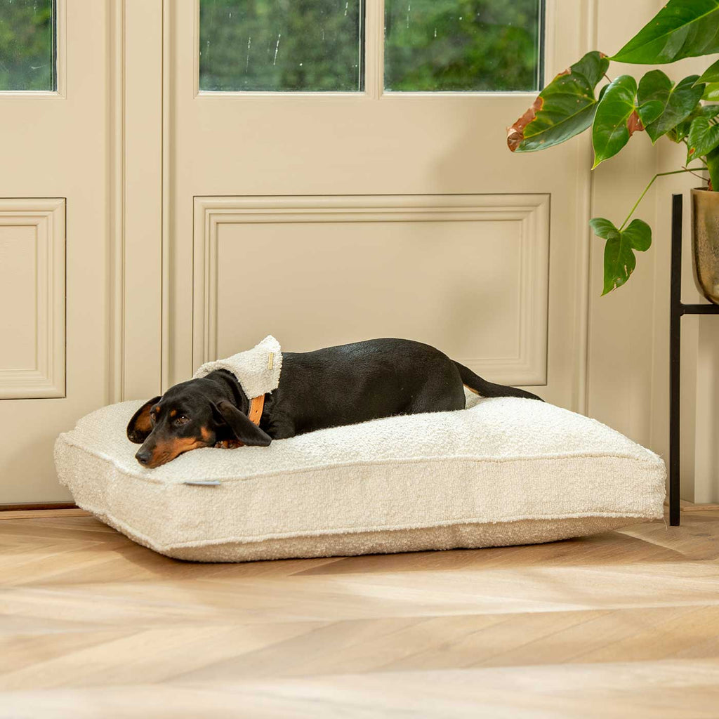 Coussin pour chien en bouclé ivoire