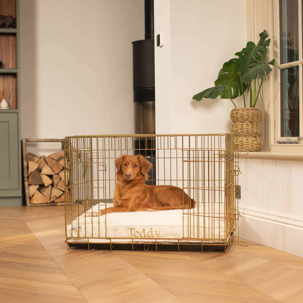 Coussin pour chien en bouclé ivoire