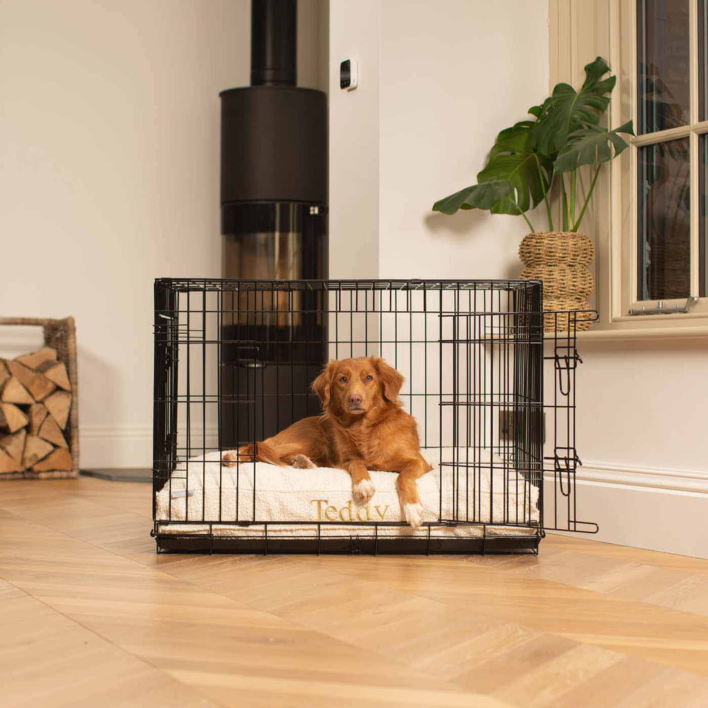 Coussin pour chien en bouclé ivoire