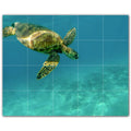 Picture-Tiles.com: Turtle Ceramic Tile Wall Mural WAL501056-54L. 40"W x 32"H using (20) 8" x 8" Ceramic Tiles-Satin Finish