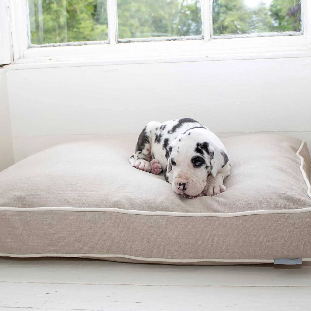 Coussin pour chien en Savanna Oatmeal