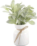 Oreille d'agneau artificielle Mainstays dans un pot en céramique blanc (29,2 cm H x 17,8 cm L x 17,8 cm P)