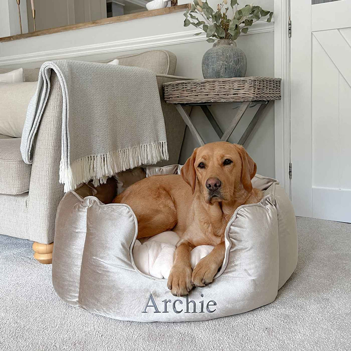 Lit pour chien à bords hauts en velours