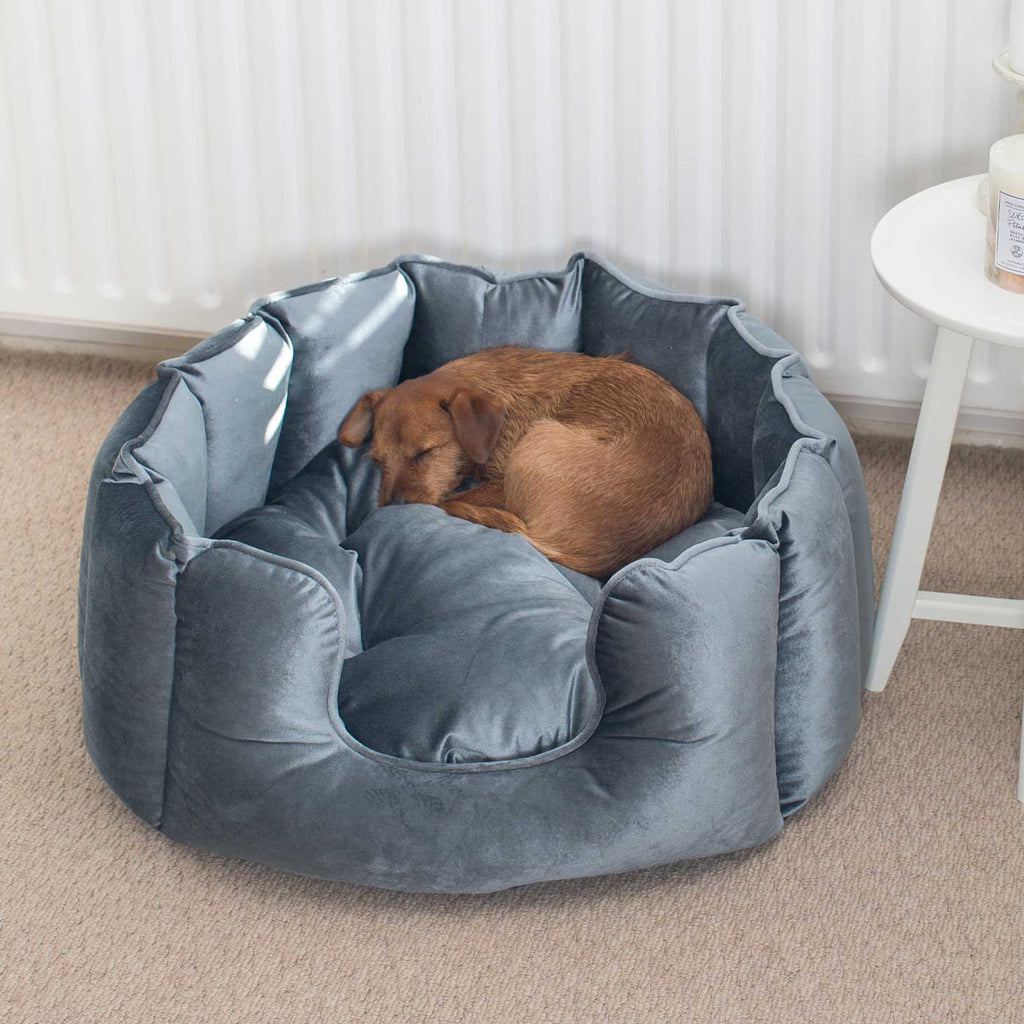 Lit pour chien à bords hauts en velours