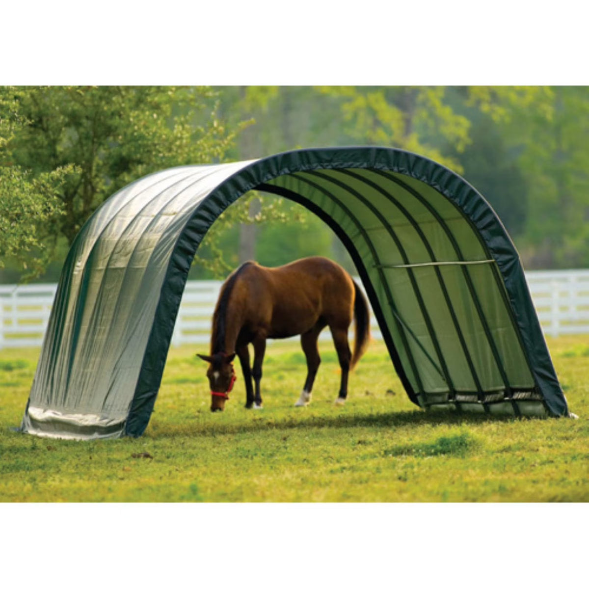 Abri de pâturage arrondi ShelterLogic, vert, 12 x 20 x 8 pi.