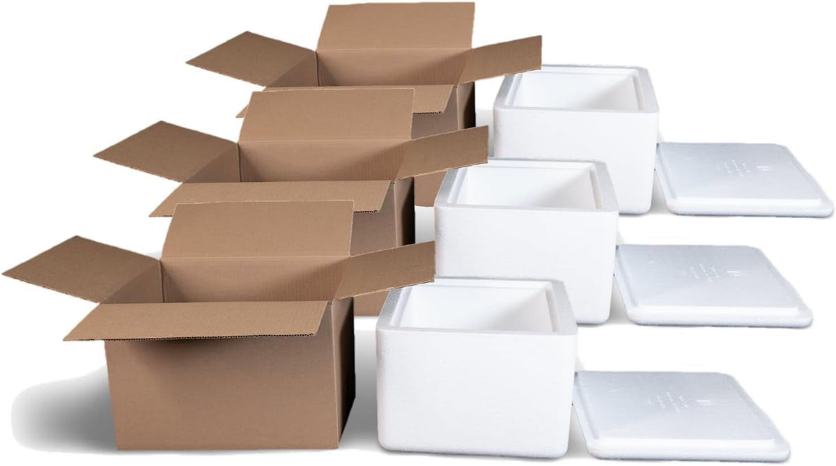 Glacière en mousse (dimensions extérieures : 12 x 11 x 9) avec boîte d'expédition - Lot de 3, protectrice, thermique, isolée, biodégradable, recyclable, expédition/stockage