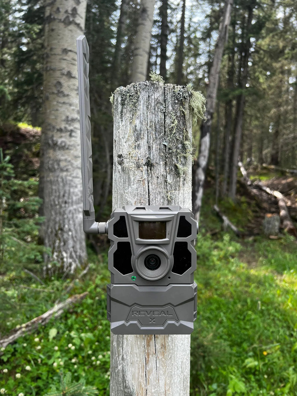 Reveal By Tactacam X 2.0 Cellular Trail Camera 2-Pack