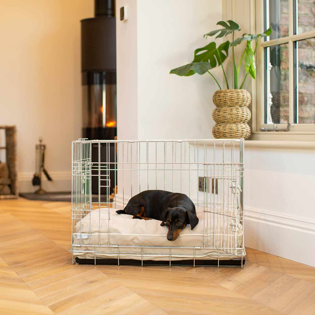 Coussin pour chien en Savanna Oatmeal