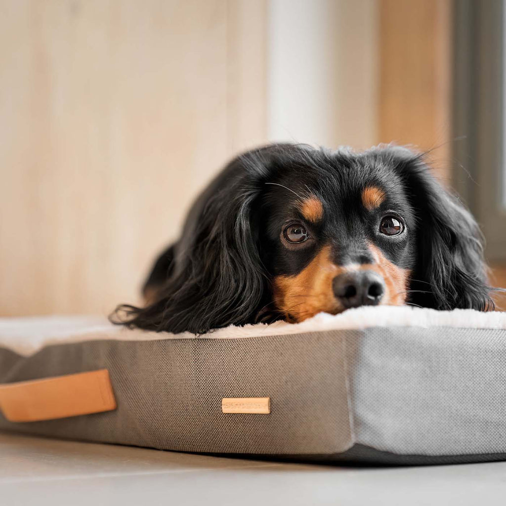 Matelas orthopédique couleur ardoise