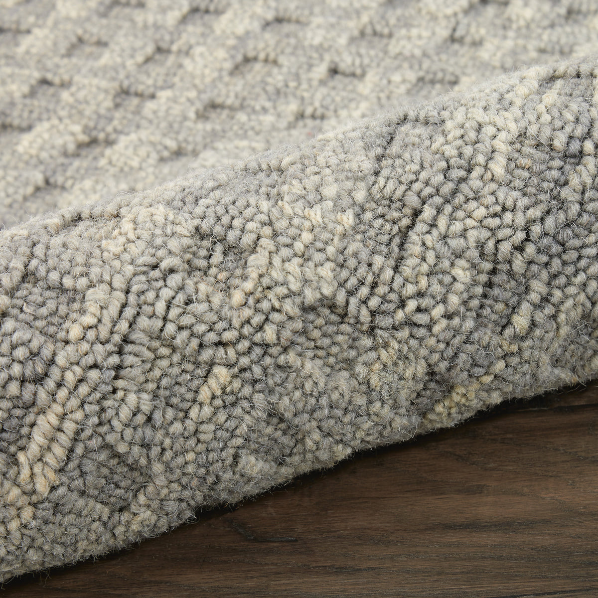 Nourison Perris Solid Charcoal 3'9" x 5'9" Area Rug, (4x6)