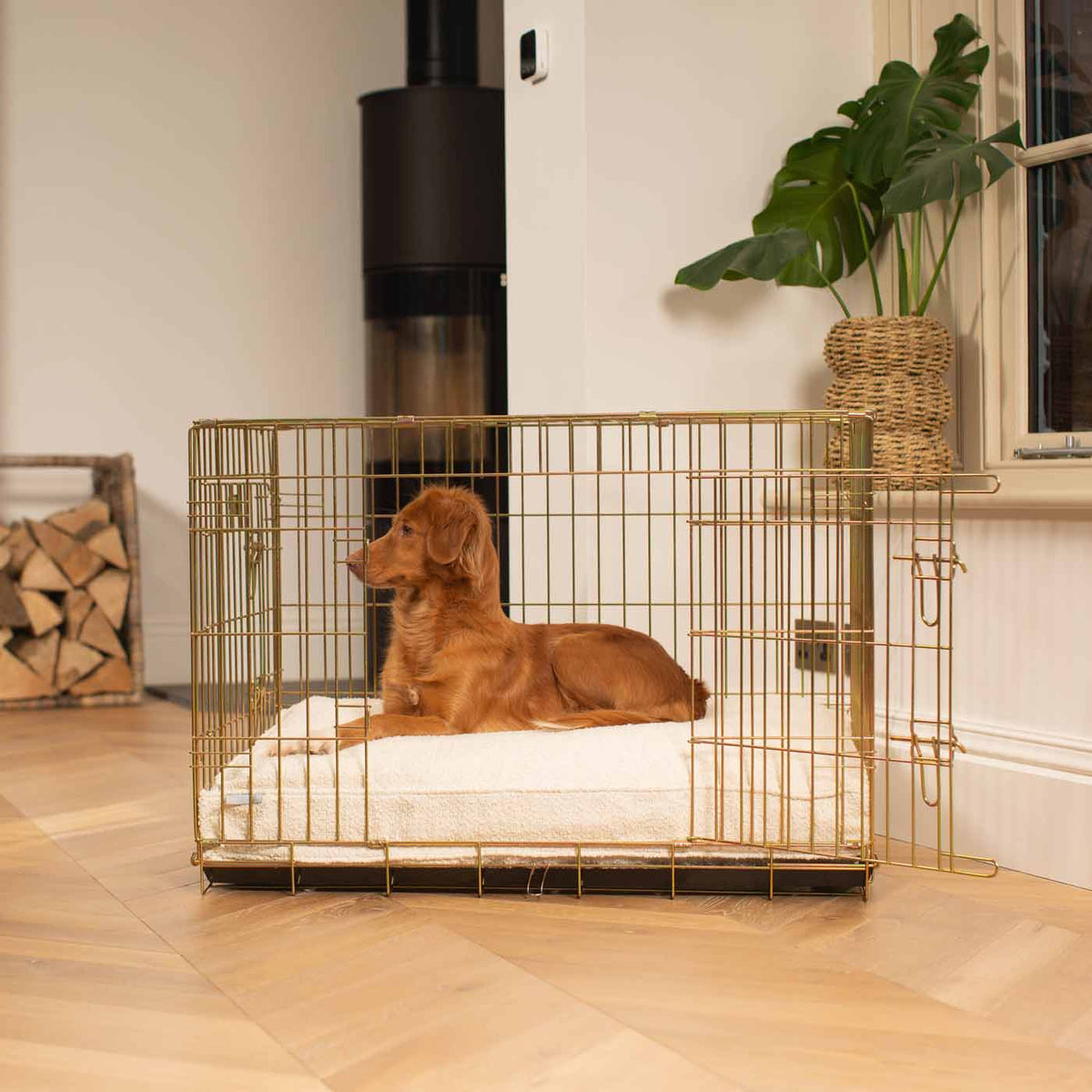 Coussin pour chien en bouclé ivoire